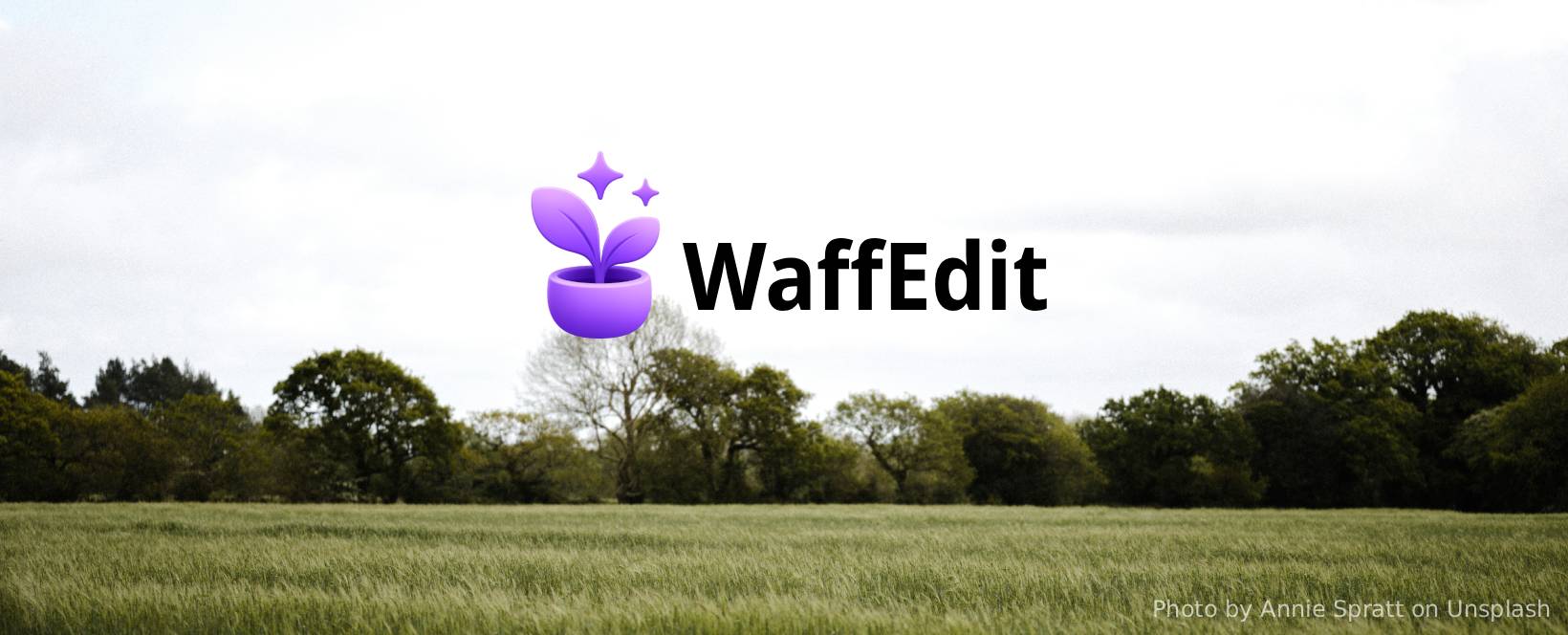 WaffEdit cover artwork